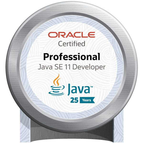 Oracle Java SE 11 Developer Zertifizierung - Stefan Michel
